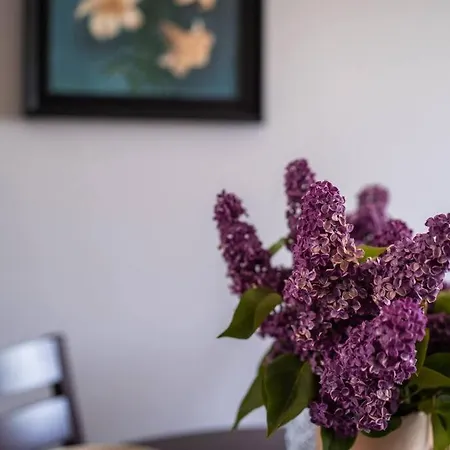 Cozy In The Center Of