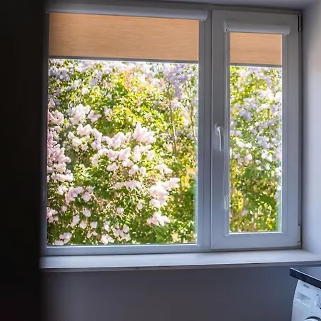 Cozy In The Center Of شقة *