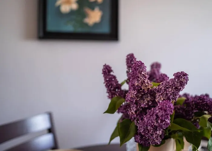 Cozy In The Center Of