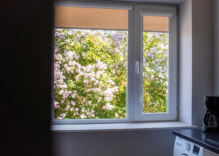 Cozy In The Center Of شقة *